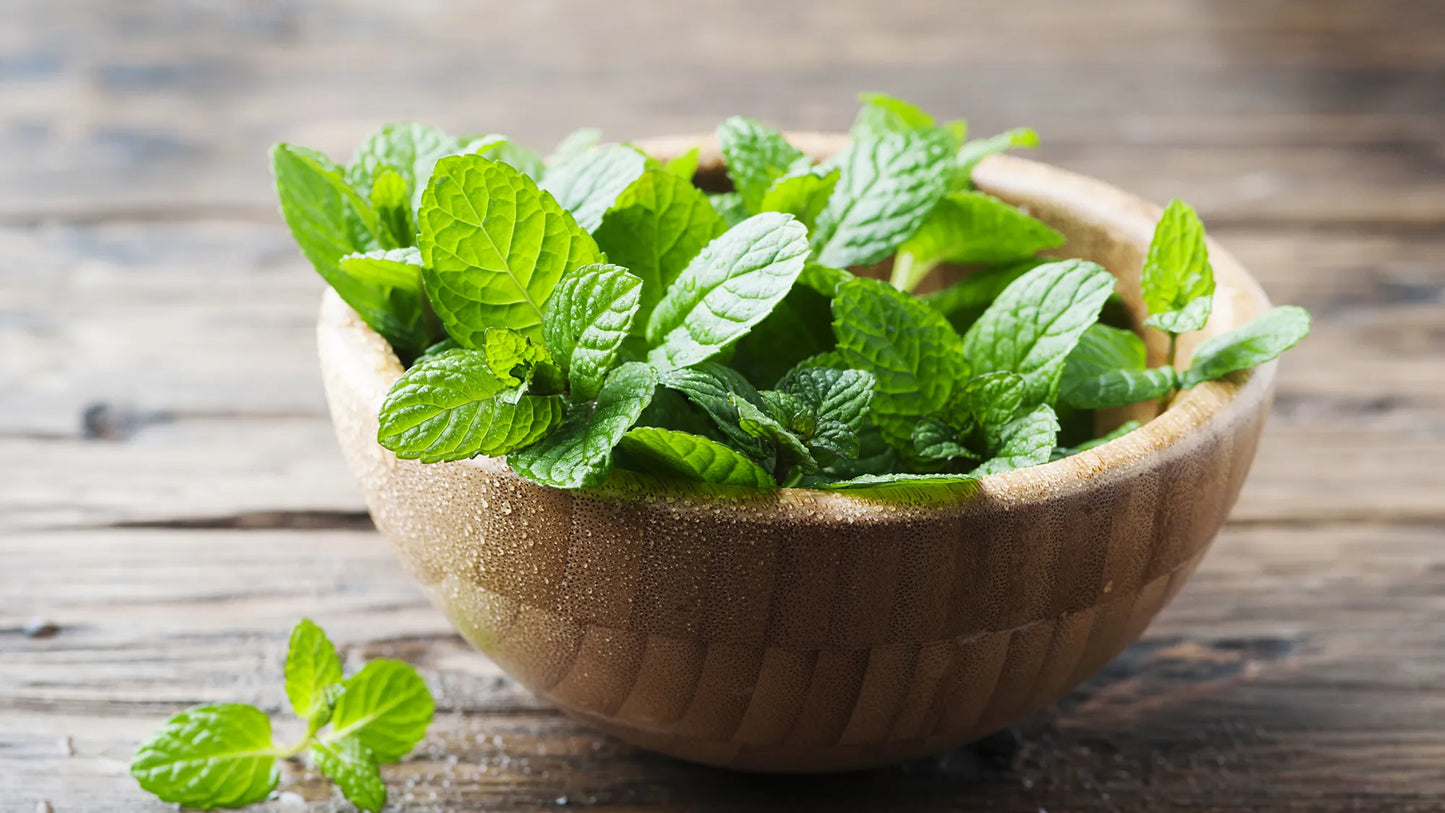 KITL MINT 500ml